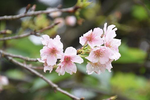 只要气质藏于身 岁月从不败美人（若有气质藏于身,岁月从不败美人）