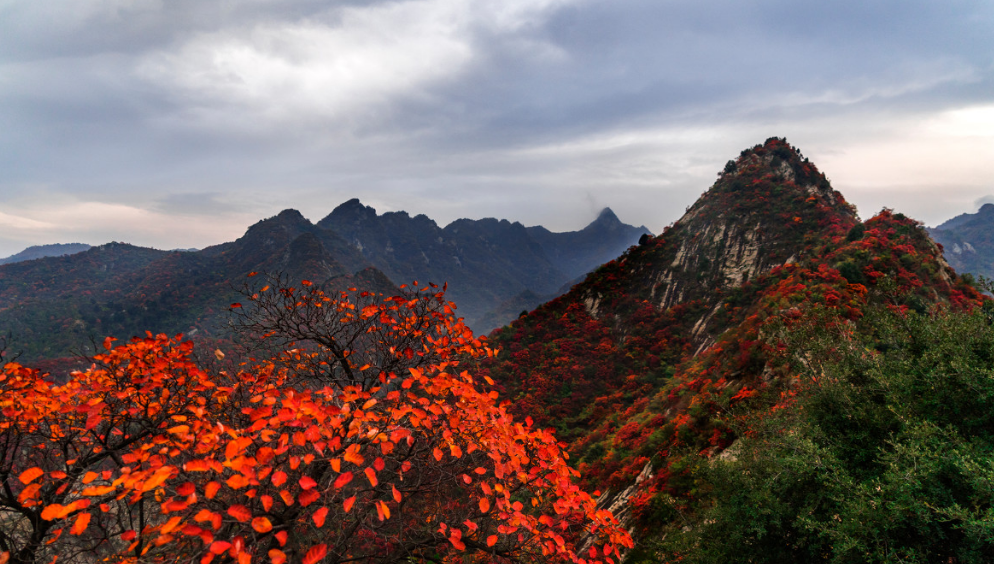 山行的诗句古诗大全（关于山行的诗）