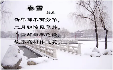 韩愈《春雪》赏析（春雪韩愈的古诗）