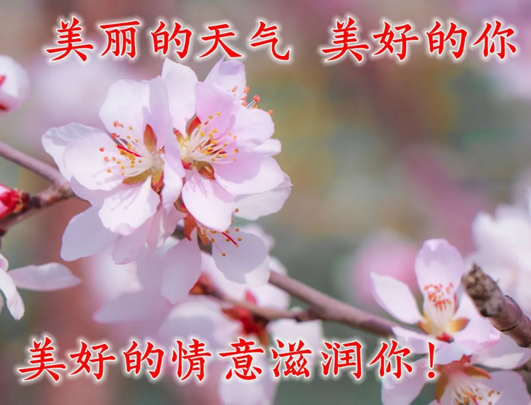 早安短句祝福朋友早安的句子图片（早安朋友祝福语图片大全 简短）