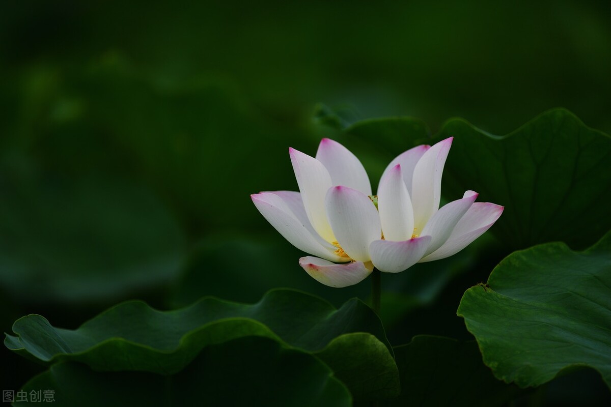 时光煮雨,岁月缝花,回首相遇,愿岁月静好,与君同老!（时间煮雨,岁月缝花,回首相遇,愿岁月静好）