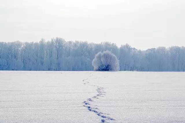 描写雪景的名家散文（写雪景的散文名篇）