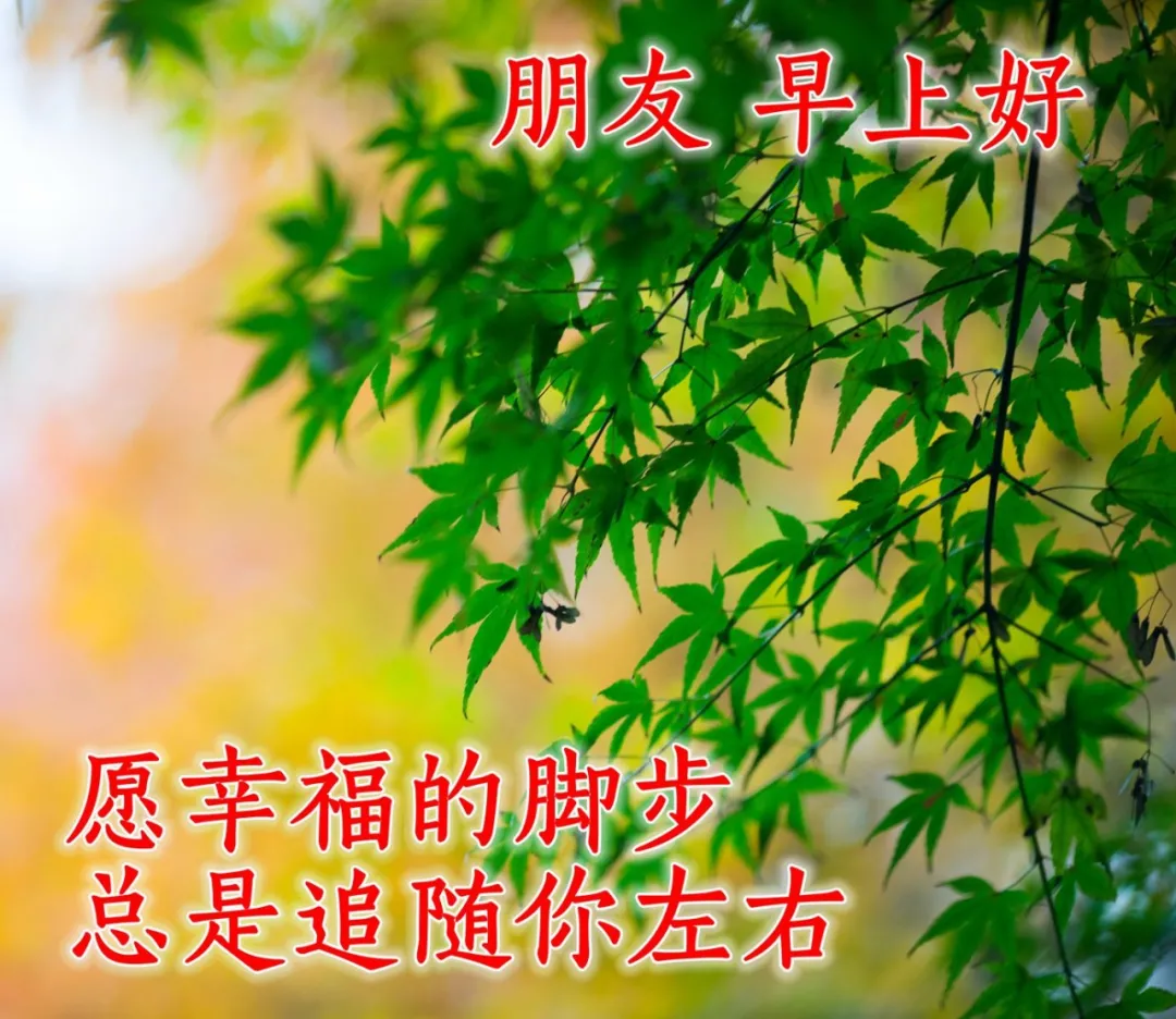 早安短句祝福朋友早安的句子图片（早安朋友祝福语图片大全 简短）