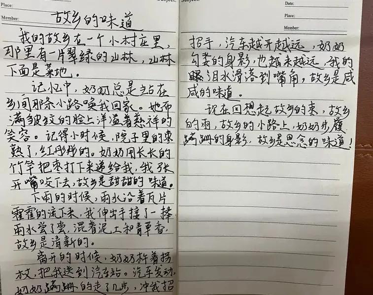 广东省中考满分作文最美的灯光（中考满分作文《最美的灯光》）