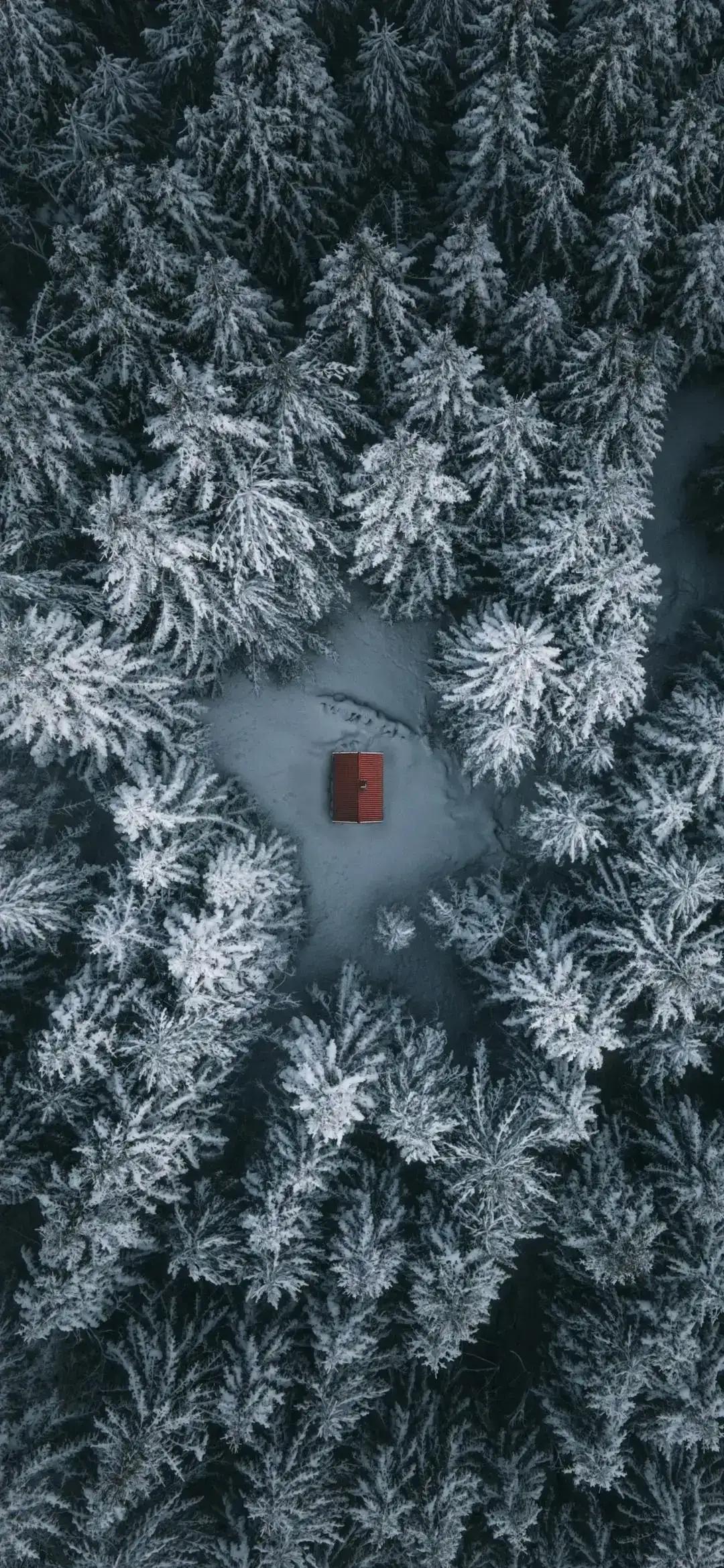 赞美雪的诗句（关于雪的诗句著名）