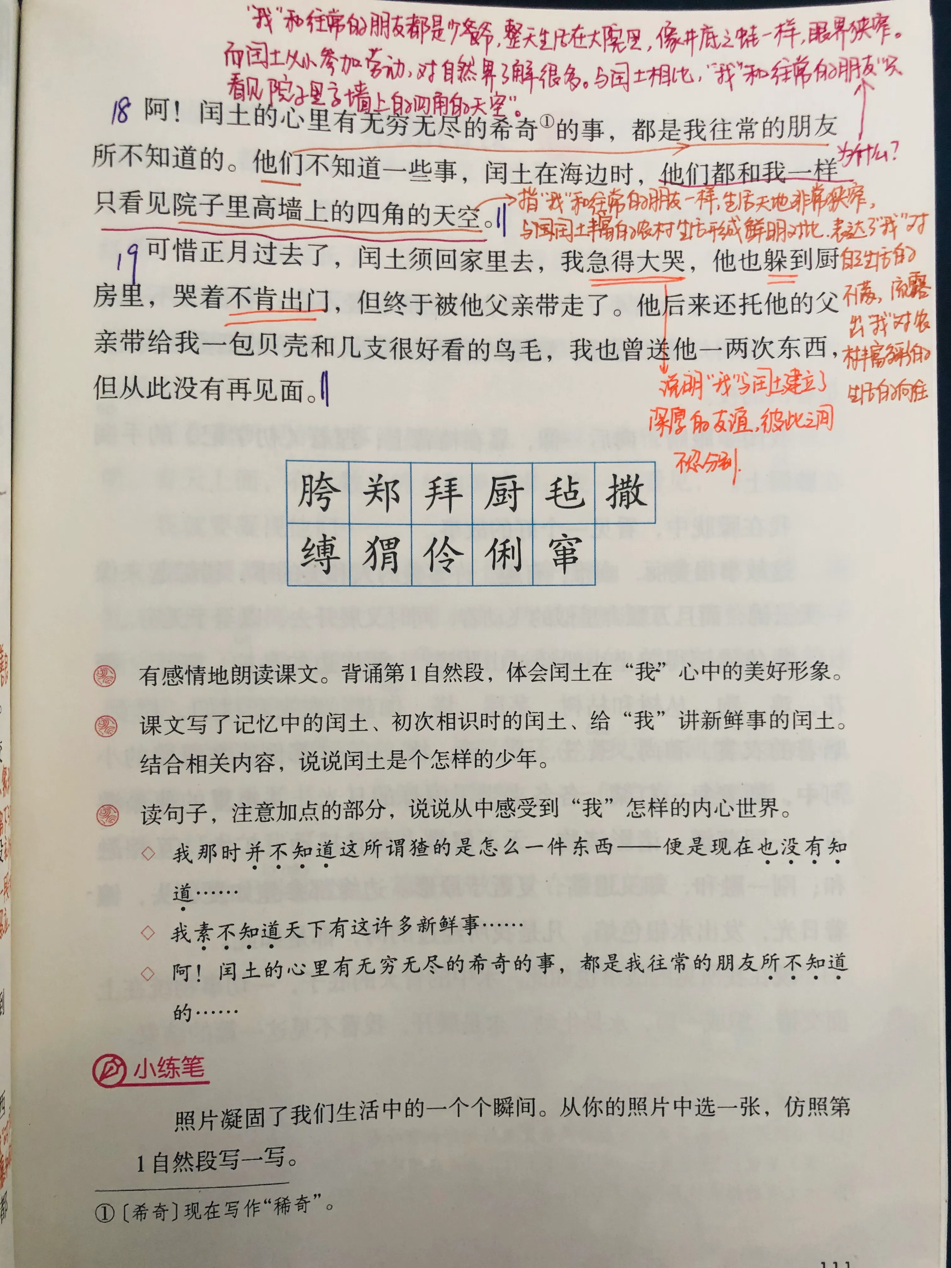 六上语文《少年闰土》（六上语文少年闰土笔记）