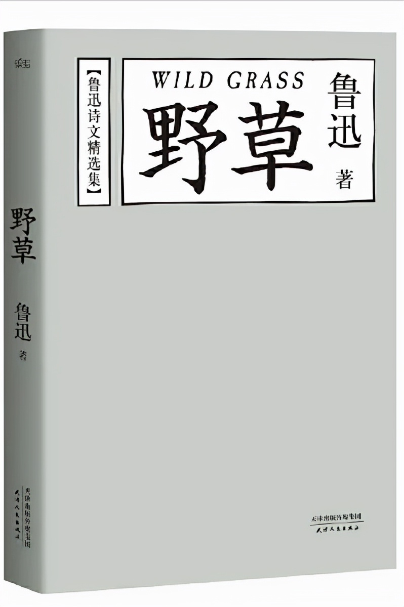 鲁迅的其他代表作有什么（谈谈你印象最深的鲁迅作品）