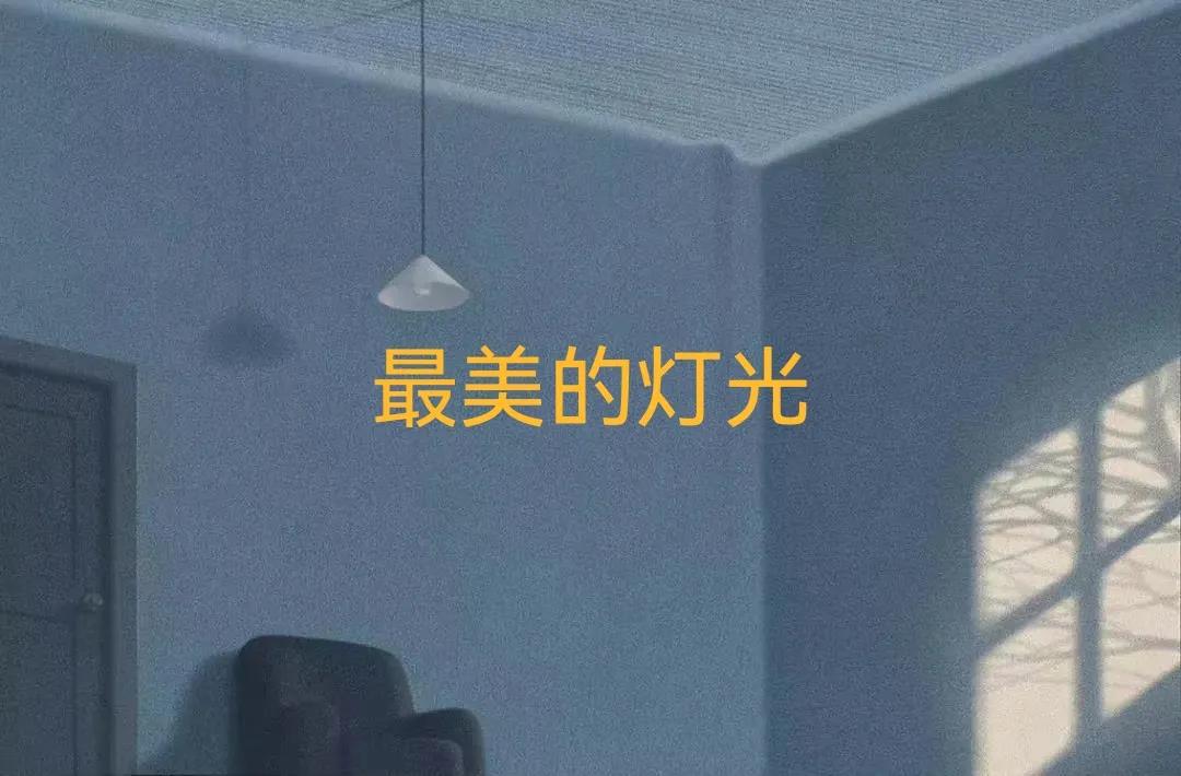 广东省中考满分作文最美的灯光（中考满分作文《最美的灯光》）