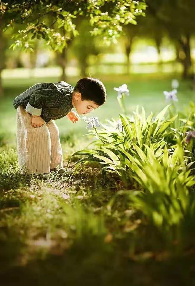 看图写话写作文放风筝（看图写话放风筝作文范文及评语）