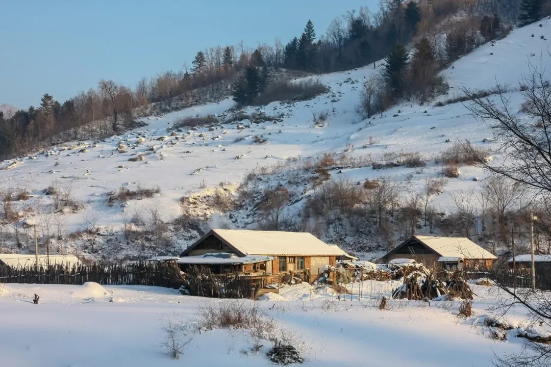 春雪的诗句古诗大全（有关春雪的诗）