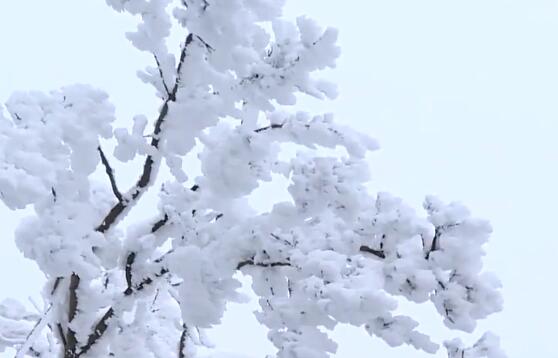 下雪天说说心情短语朋友圈下雪说说经典大全（下雪了发朋友圈的唯美心情说说最新和下雪有关说说大全）