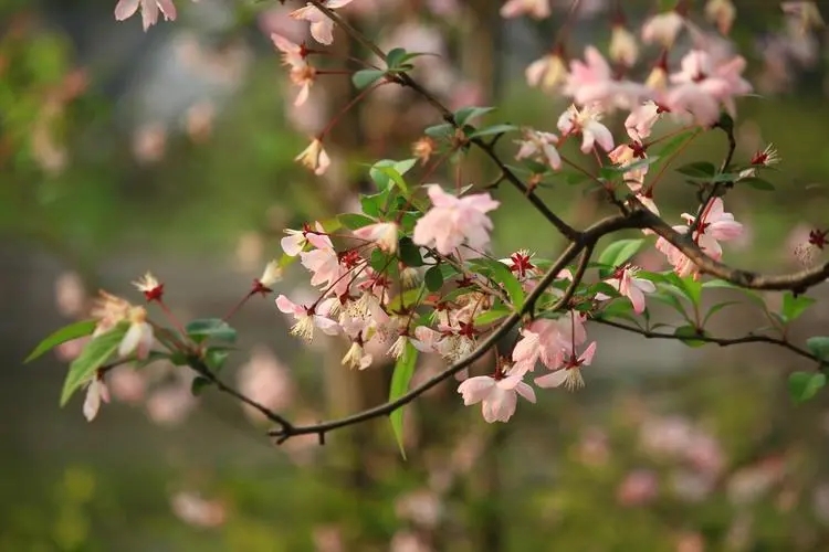 描写季节的作文素材（关于季节的素材）