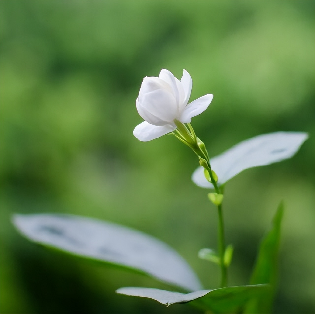 暖心的情话 异地恋（异地恋暖心情话短句）