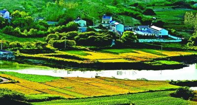 村居这首诗写了哪些意象（村居的解析）