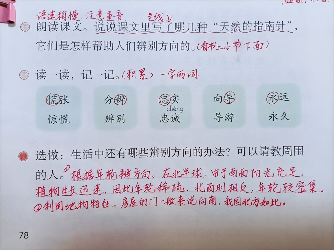 小学生积累好词好句的方法（小学生积累好词好句好段大全）