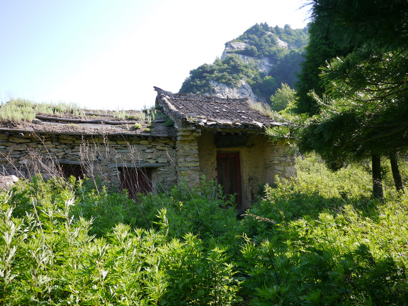 《扬州慢》翻译（扬州慢赏析）