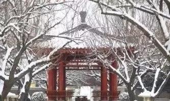 雪景作文怎么写指导（怎么写好雪景的作文?）