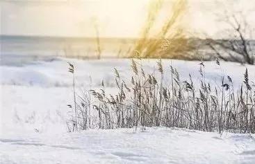 雪景作文怎么写指导（怎么写好雪景的作文?）