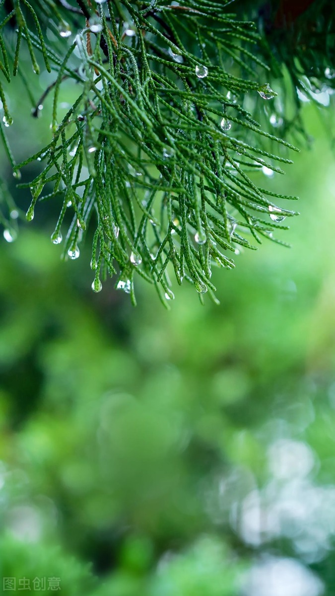 时光煮雨,岁月缝花,回首相遇,愿岁月静好,与君同老!（时间煮雨,岁月缝花,回首相遇,愿岁月静好）