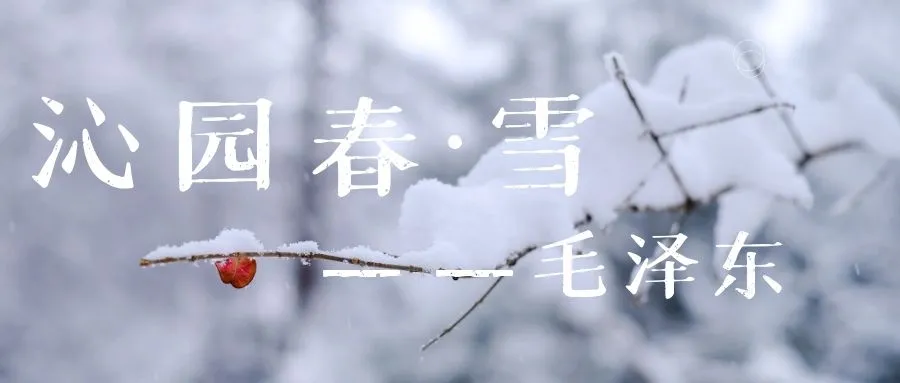 红色经典诵读沁园春雪（沁园春雪原文）