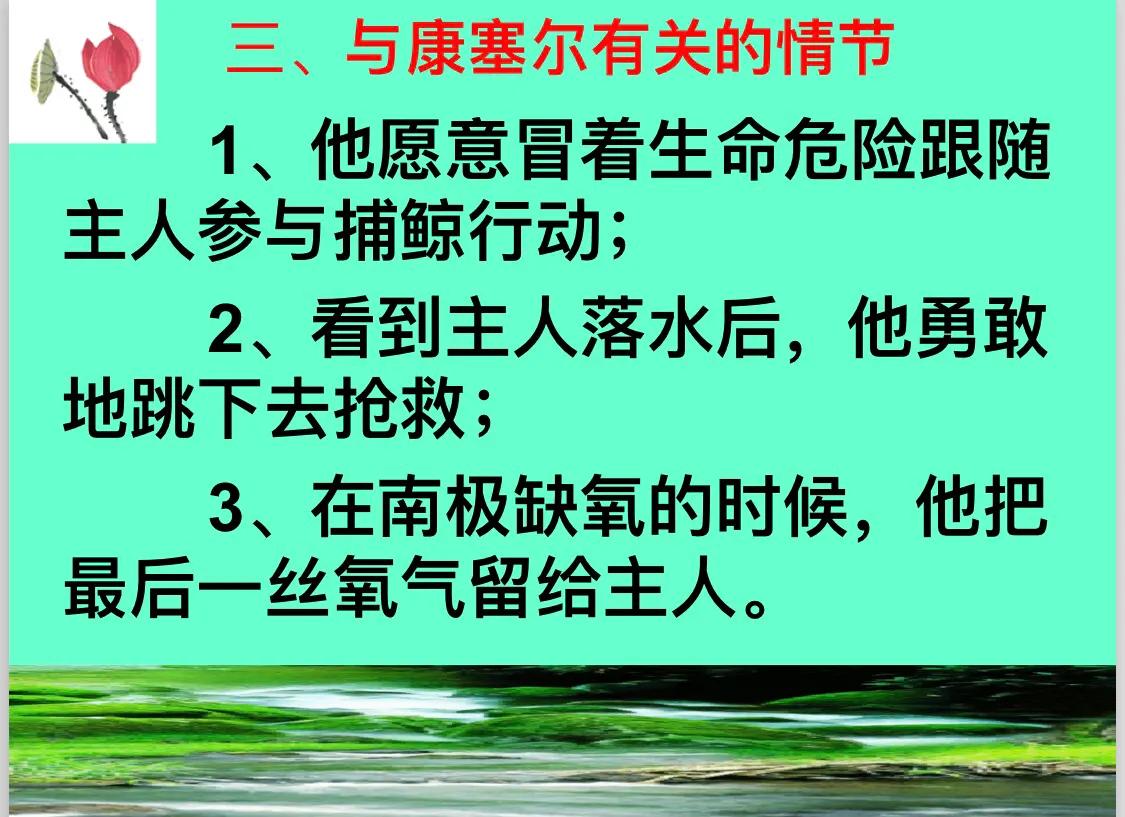 《海底两万里》名著简介（《海底两万里》名著导读笔记）