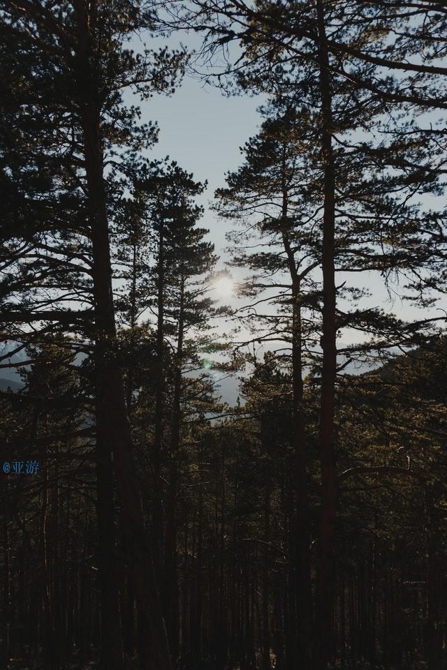 黄鹤楼送孟浩然之广陵的诗意（黄鹤楼送孟浩然之广陵赏析）