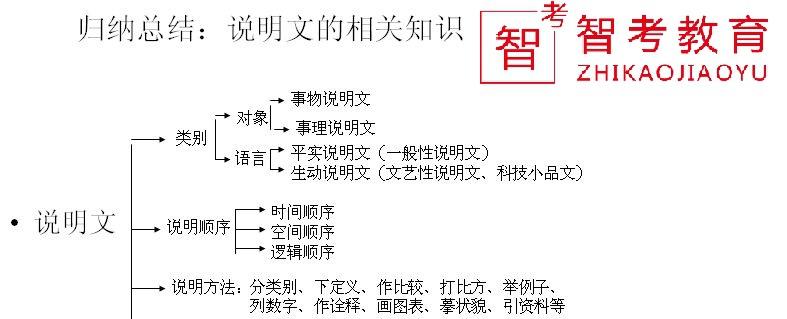 小学说明文写作技巧及套路（小学说明文写作方法）