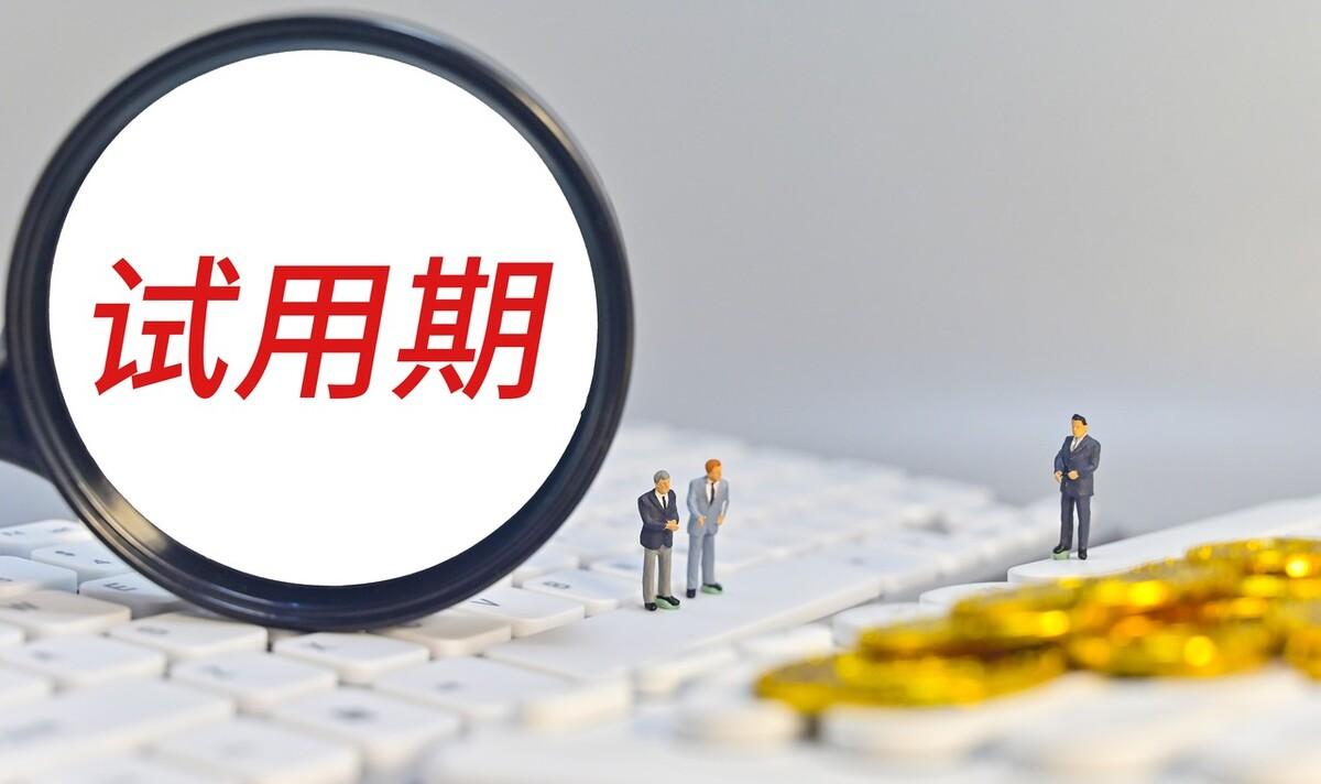 试用期工作总结500字左右通用（工作试用期个人总结500字）