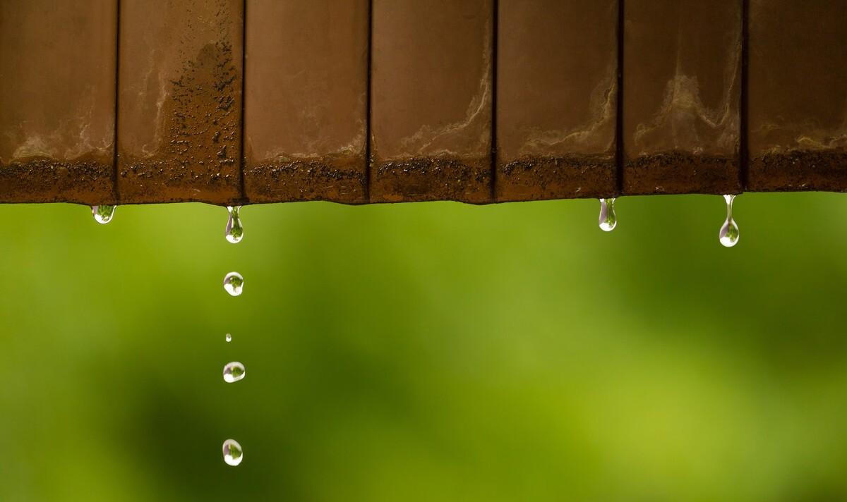 雨水二十四节气诗（二十四节气雨水的诗意描述）