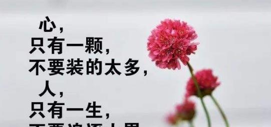 抖音中最伤感的句子句句戳心（抖音伤感句子痛到心里经典）