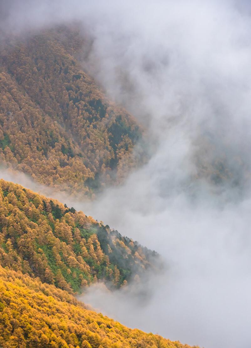 《秋波媚 七月十六日晚登高兴亭望长安南山》赏析（秋波媚七月十六日晚登高兴亭翻译）