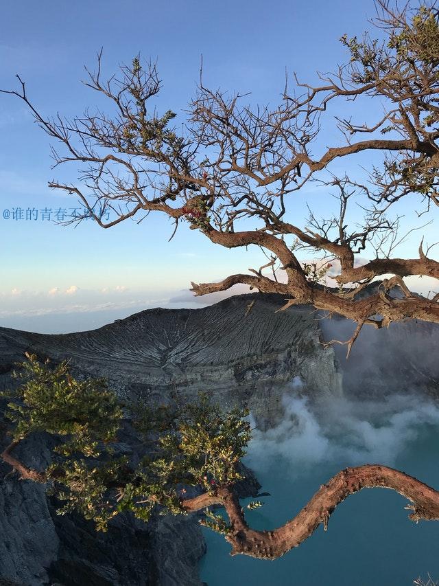 商场开业仪式的致辞（购物节开幕式上的致辞）