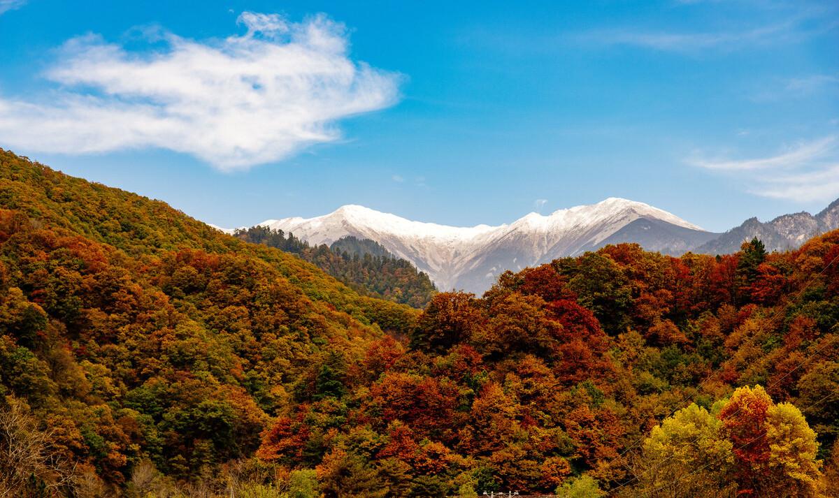 《秋波媚 七月十六日晚登高兴亭望长安南山》赏析（秋波媚七月十六日晚登高兴亭翻译）