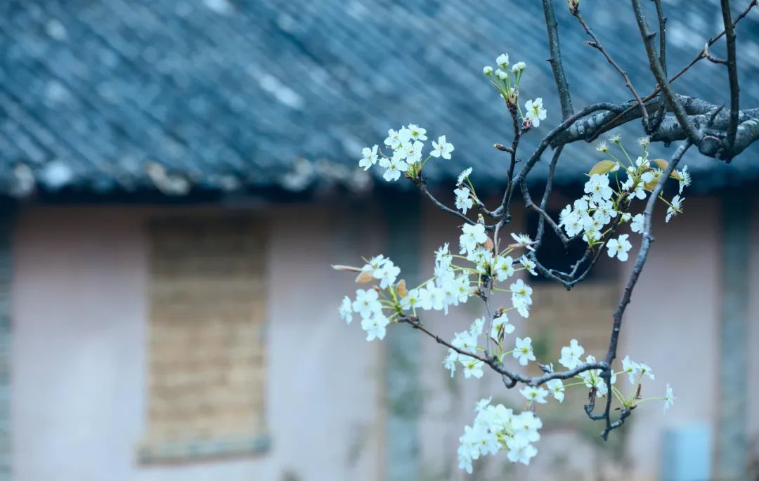 10首唯美《眼儿媚》,你的眼睛里,藏着灿烂星河（眼儿媚十首）