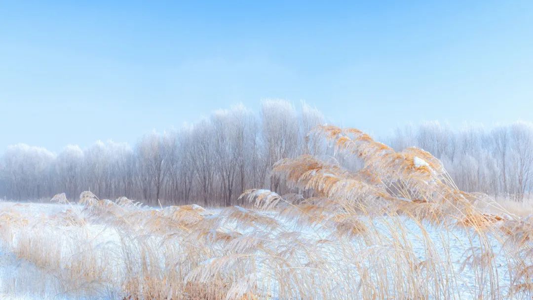 写雪最美的10首诗词,如冰如玉,纯美轻盈,美到灵魂里（写雪最美的10首诗词名句）