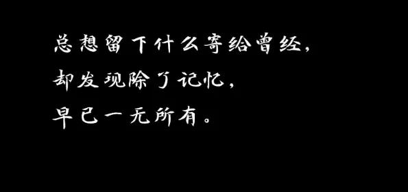 适用于发动态的爱情说说（动态说说大全 爱情 情感）