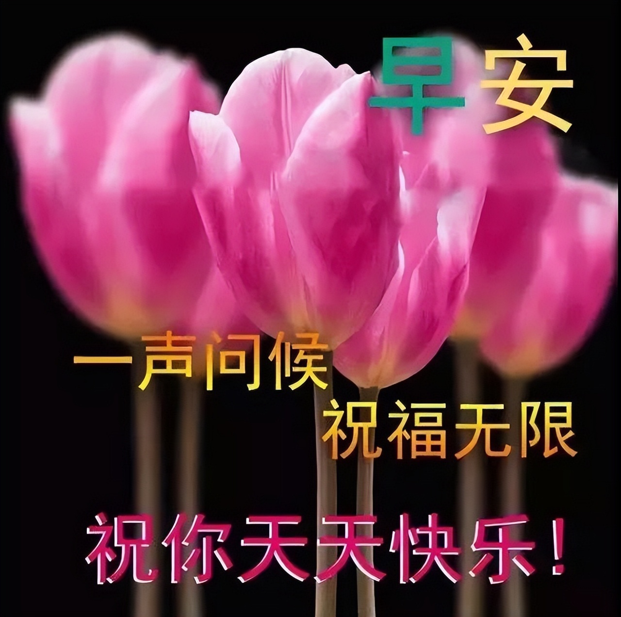 迎接四月最真诚的早安祝福语（四月早安温馨祝福语）