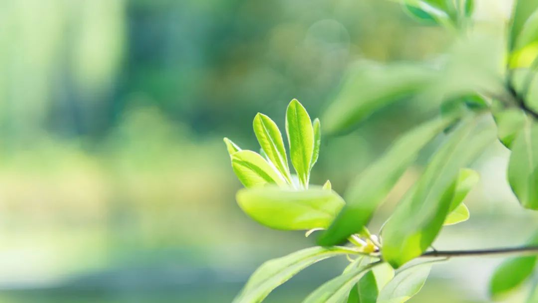 10首唯美《眼儿媚》,你的眼睛里,藏着灿烂星河（眼儿媚十首）