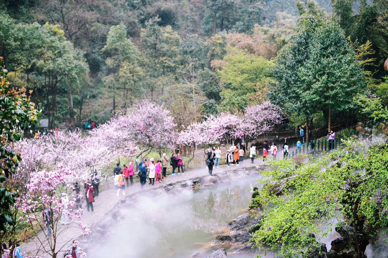 桃花源游记（关于桃花源的游记）