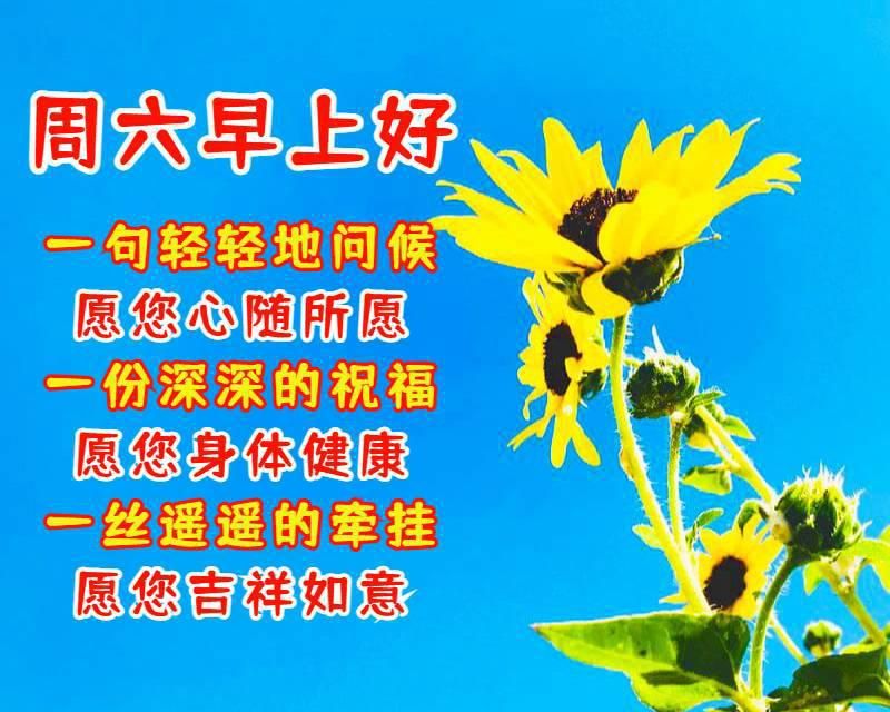 祝老朋友早上好的祝福语图片（朋友早上好祝福语大全短句）