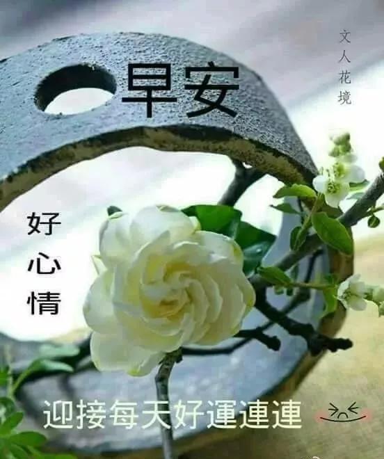 心平气和告别过去，只争朝夕活在当下，淡定从容迎接未来，早上好