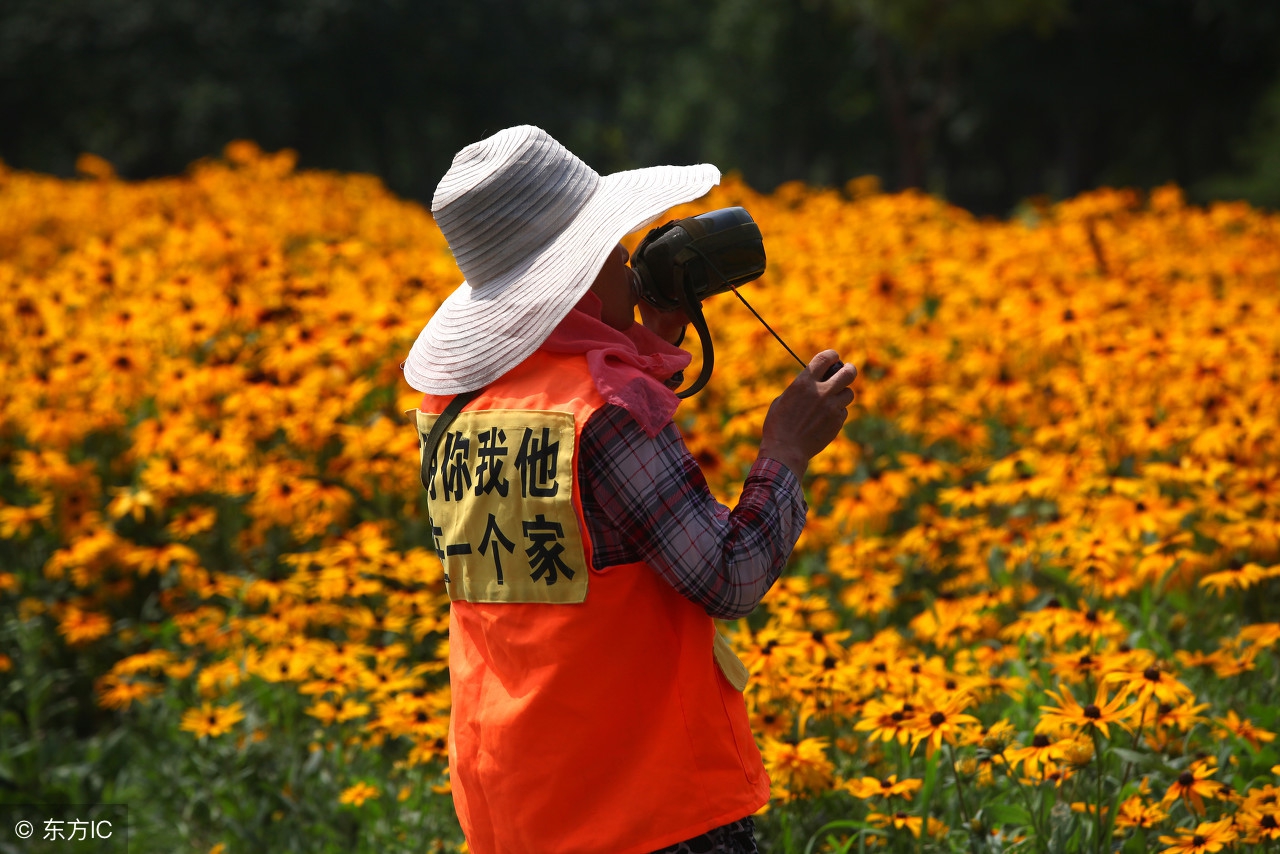 三八妇女节短标语（三八妇女节活动主题标语）