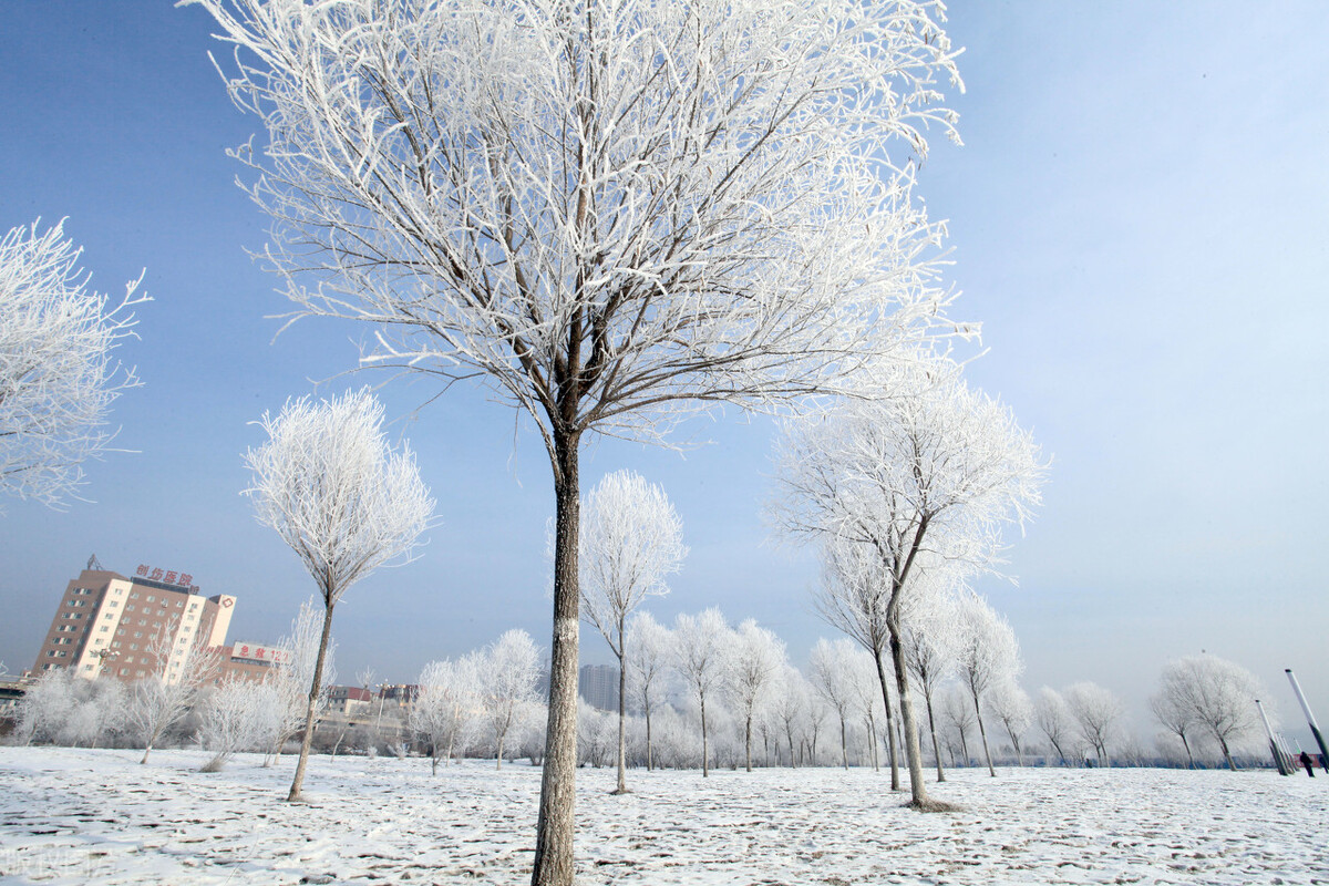 冬天里的雪抒情散文（冬雪的抒情散文）