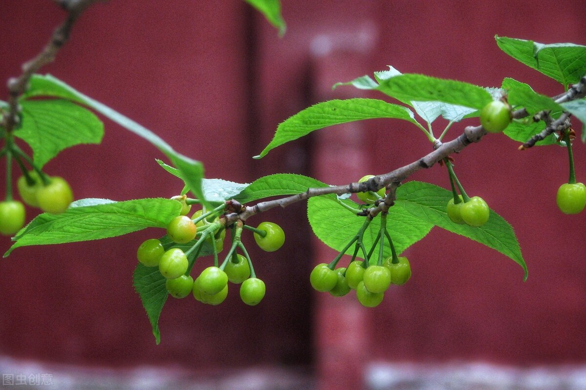 赞美老师的古诗词（表扬老师的诗句和名言）