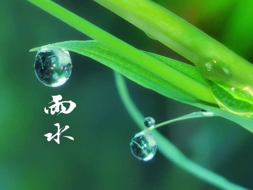 描写春季雨声的诗句（下春雨时的诗词）