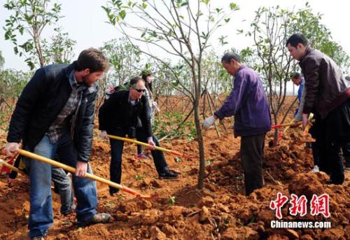 植树节的名言警句大全（关于植树节的名人名言名句名段）