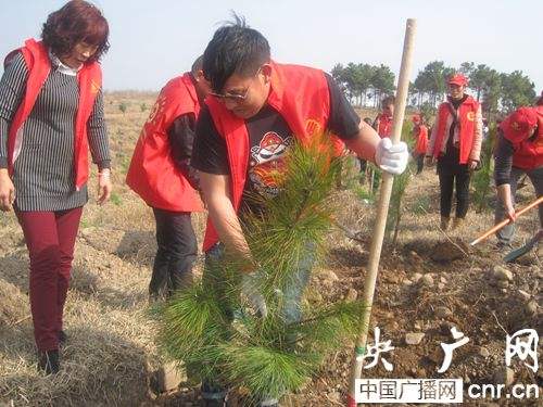 植树节的名言警句大全（关于植树节的名人名言名句名段）