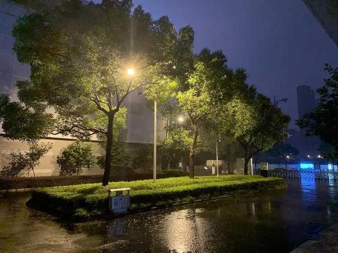 夏天的雨夜散文（夏夜的雨抒情散文）