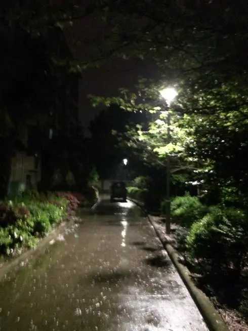 夏天的雨夜散文（夏夜的雨抒情散文）