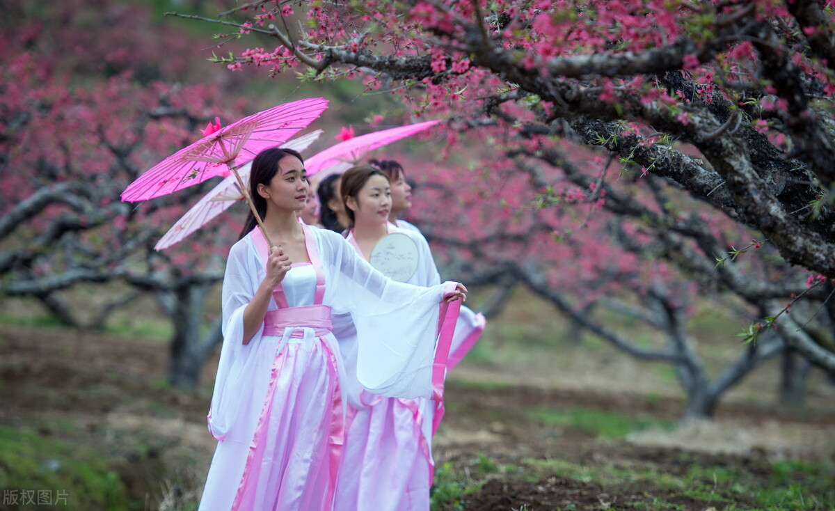 三八妇女节的一首诗（三八妇女节歌颂女性的诗句）